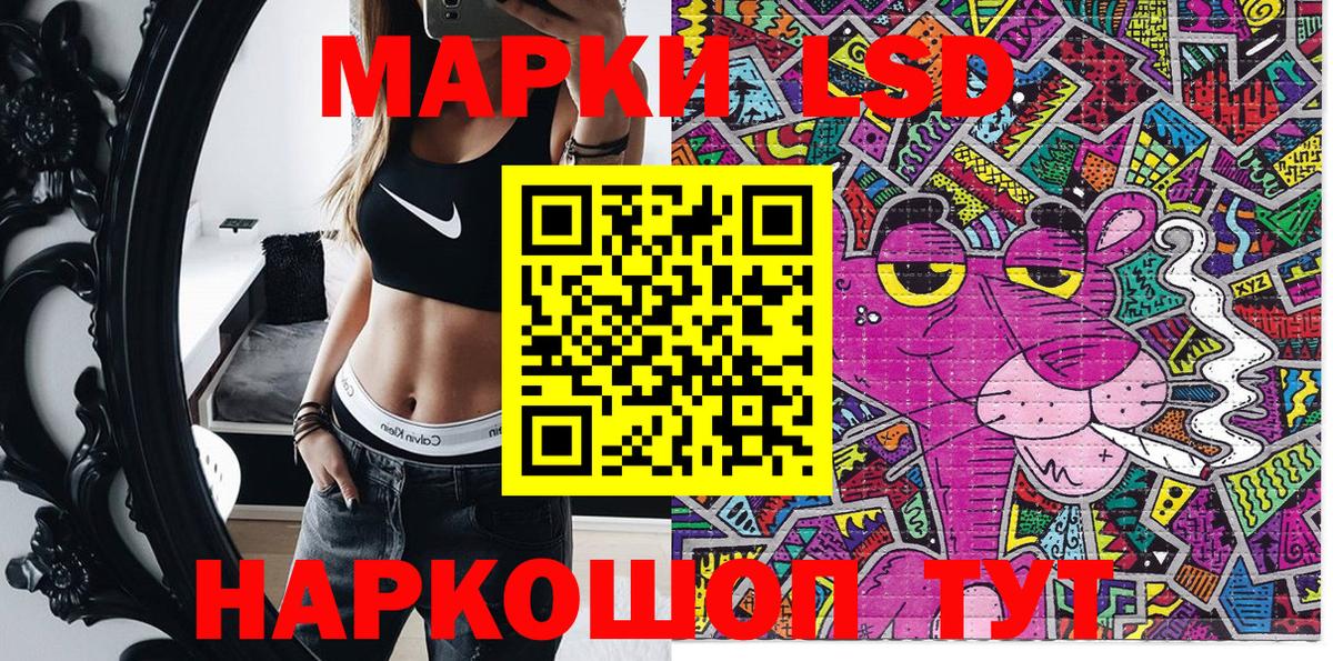как найти наркотики  Вход с VPN  Марки NBOMe 1500мкг  Камышлов  Марки NBOMe 1500мкг  Марки N-bome 