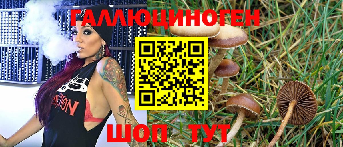 Псилоцибиновые грибы GOLDEN TEACHER Камышлов
