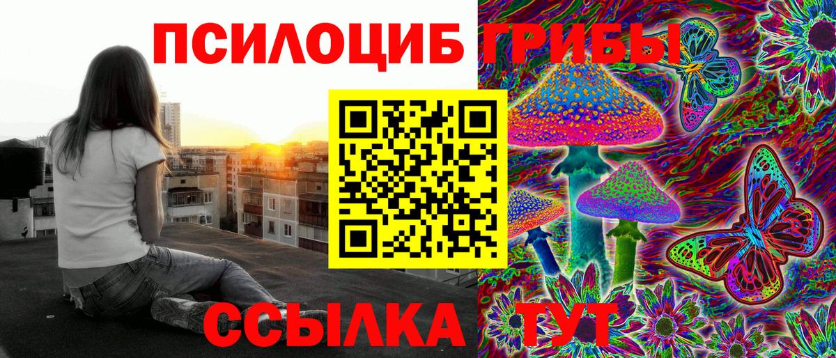 Псилоцибиновые грибы Psilocybe  Вход с VPN  Камышлов 